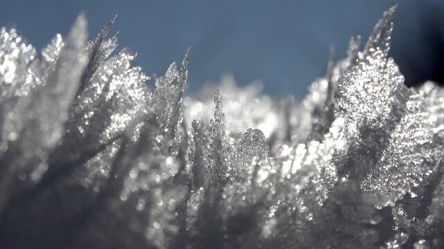 Crystal hoarfrost rime layer accumulated on a cold winter surface, serene and beautiful.