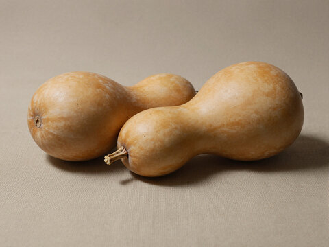 Two dried bottle gourds with smooth pale amber skins