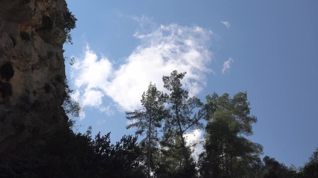 Timelapse cloud fragments form above pine forest in extreme heat and humid summer weather.