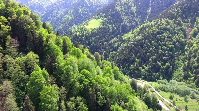 Aerial view of Alps mountain chalets in lush forest meadow beneath rugged green ridges.