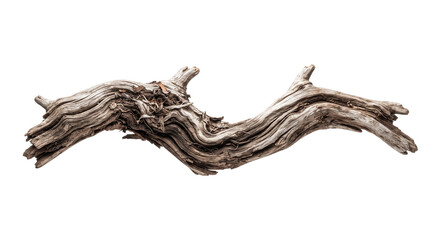 Fototapeta premium tree stump Natural driftwood branch isolated on transparent background