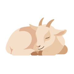 Fototapeta premium Relaxed baby goat resting peacefully in cozy curled position with exuding calm contentment soft