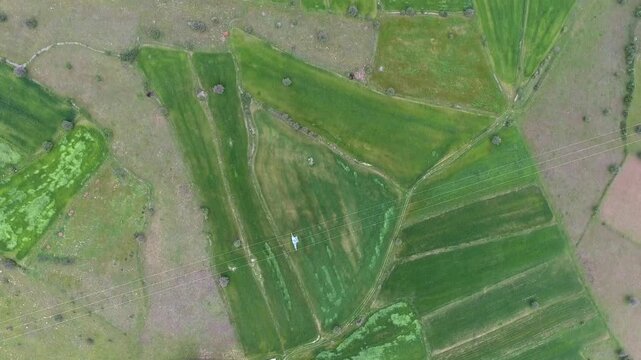 Aerial USA farmland patchwork fields hills cultivated plains rural terrain detail.