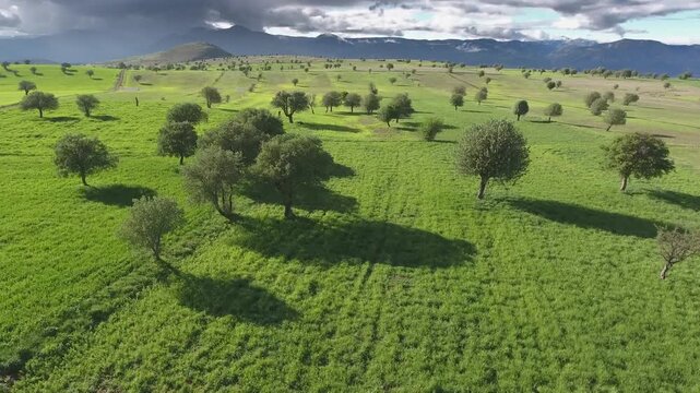 Aerial Turkey farmland patchwork fields hills cultivated plains rural terrain detail.