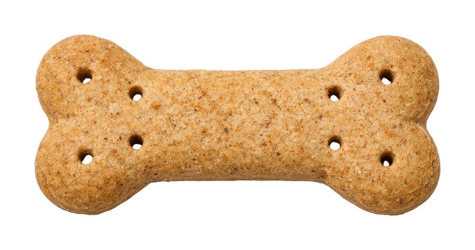 PNG Crunchy dog bone treat.