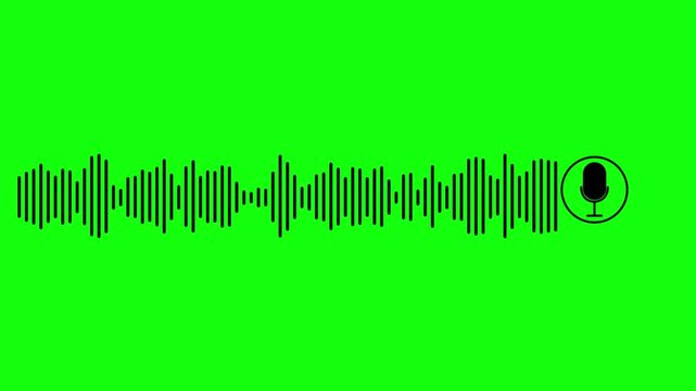 Abstract white audio wave animation, digital sound frequency spectrum visualizer,audio visualizer lines isolated on black background,