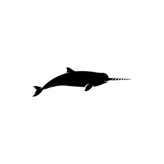 Narwhal   © Soumik