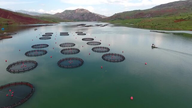 Circular salmon cages float on a lake, showing commercial aquaculture in a mountain valley setting.