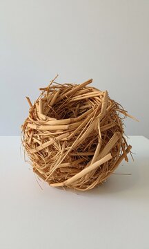 Hand built empty bird nest made of woven dry straw reeds placed on plain clean light gray background shows natural handmade bird home and natural life concept