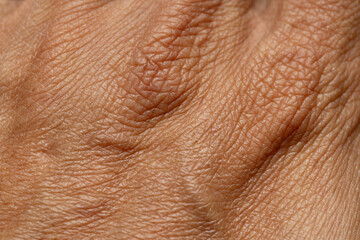 Fototapeta premium Macro Close-up of Aging Human Skin Texture,Detailed close-up macro photograph showing the intricate texture, wrinkles, and fine lines of aging human skin, highlighting pores and natural dermal details