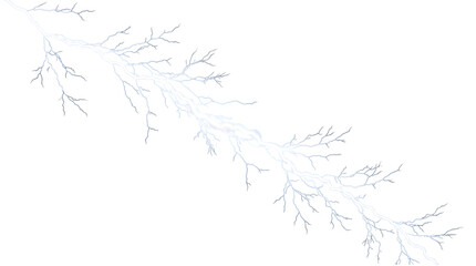 Fototapeta premium Delicate ethereal branches reaching across a stark transparent background suggesting winter's quiet beauty