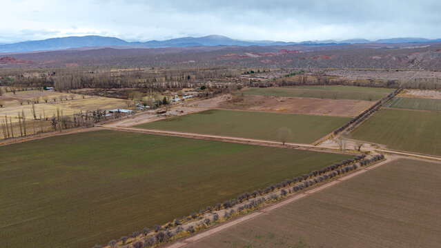 Aerial view of agricultural fields with dirt roads and rows of trees in the valley near the mountains in Barreal, San Juan Province, Argentina.