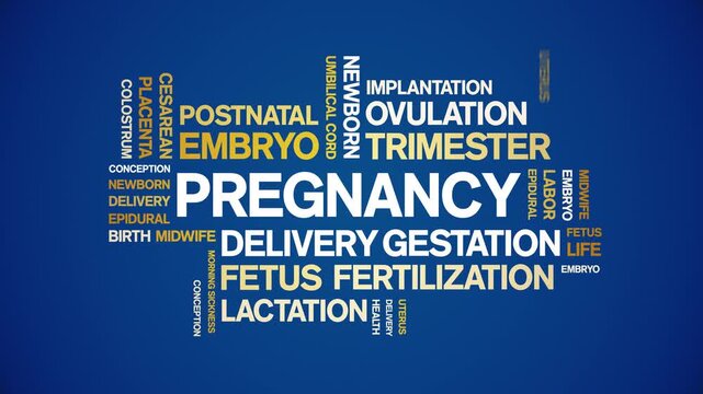 Pregnancy animated word cloud-animation tag kinetic typography seamless loop.