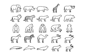 Naklejka premium A collection of hand-drawn sketches depicts a diverse array of wild animals from different continents, showcasing their unique forms and characteristics.