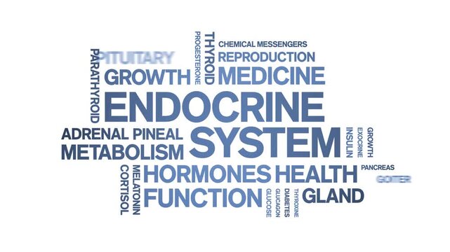 Endocrine System animated word cloud-animation tag kinetic typography seamless loop.
