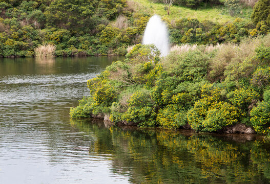 Water fountain at natural ecology moss lake reflection