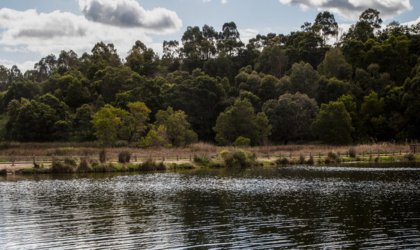 Gardens forest lake with afternoon sunlight