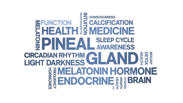 Pineal Gland animated word cloud-animation tag kinetic typography seamless loop.
