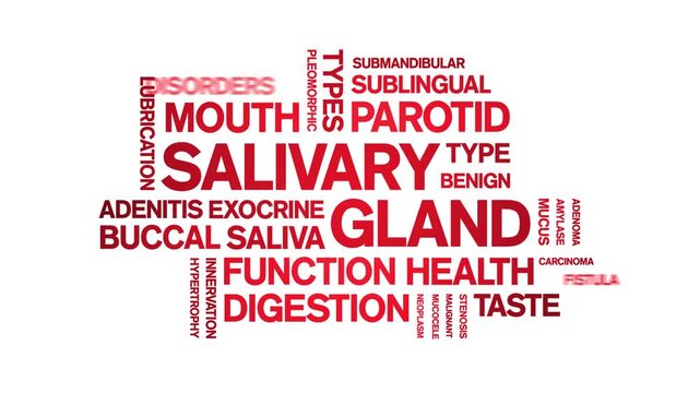 Salivary Gland animated word cloud-animation tag kinetic typography seamless loop.