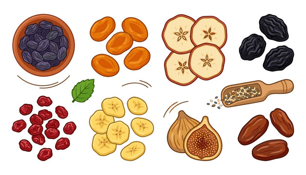 Dried Fruit and Healthy Snack Collection with Raisins Dates Figs Apricots Cranberries Apples and Banana Chips for Food Packaging Designs