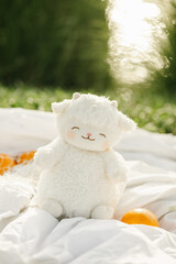 Cute white lamb plush toy sitting on blanket in green summer park, soft handmade toy outdoors © Liliia