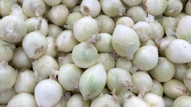 Fresh white pearl onions background moving
