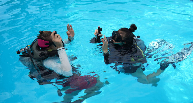 A professional diver and a novice practice diving in a pool.