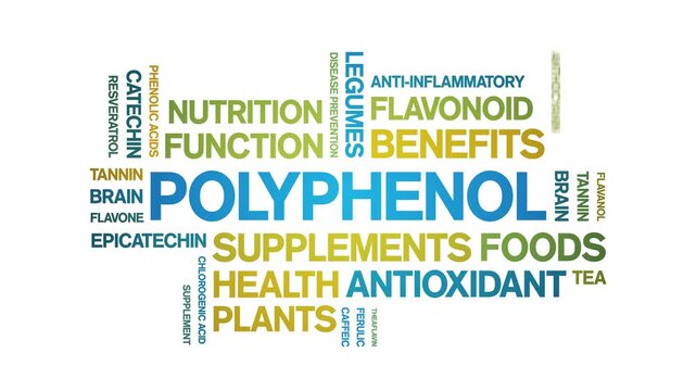 Polyphenol animated word cloud-animation tag kinetic typography seamless loop.