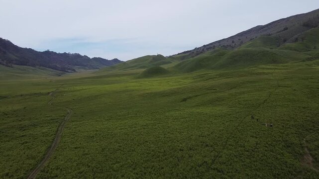 The Teletubbies Hill in the Mount Bromo area of ​​Indonesia, currently lush and green.