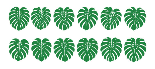 Monstera leaf silhouette vector set, split philodendron plant with tropical foliage icon design. © Md