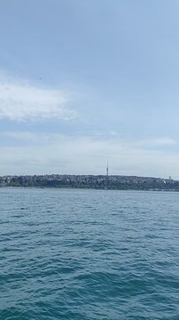 ISTANBUL, TURKEY - 08 MAY 2026: Seagulls of Istanbul are an essential feature of the city and the Bosphorus Strait