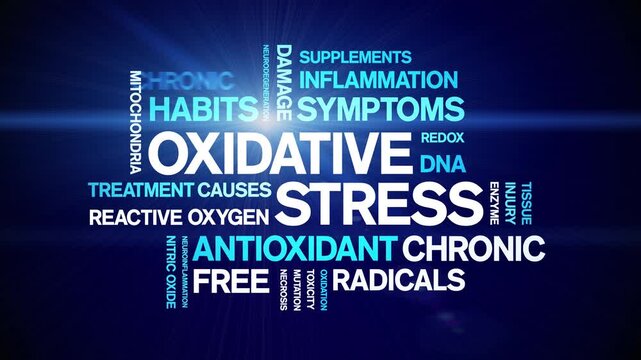 Oxidative Stress animated word cloud-animation tag kinetic typography seamless loop.