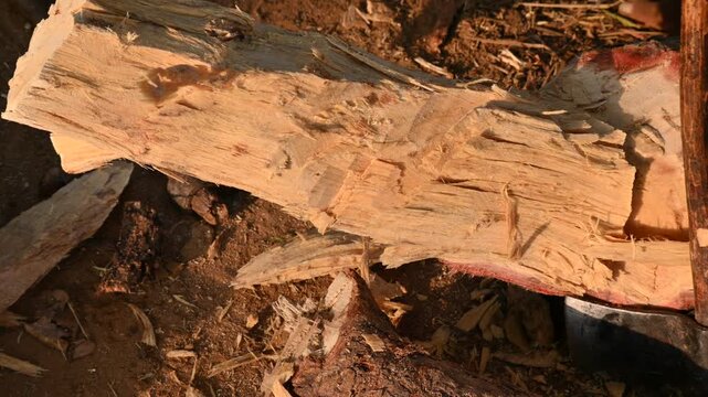 A person using a traditional hand axe to hew a rough wooden log resting. Traditional manual wood-chopping axe with a metal head and wooden handle. Its Commonly used in rural and village settings.