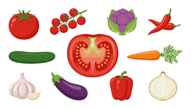 Fresh organic vegetable vector collection including tomato chili pepper carrot garlic onion eggplant cucumber bell pepper and cauliflower isolated on white background.svg