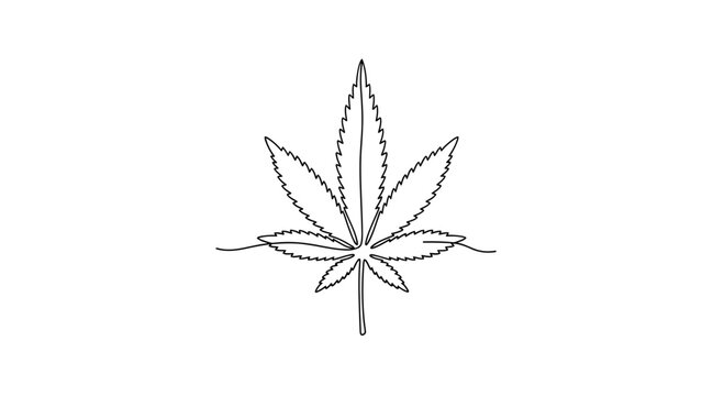 Minimalist continuous line drawing of a cannabis leaf isolated on white background.