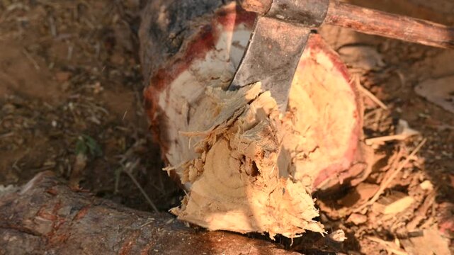 A person using a traditional hand axe to hew a rough wooden log resting. Traditional manual wood-chopping axe with a metal head and wooden handle. Its Commonly used in rural and village settings.