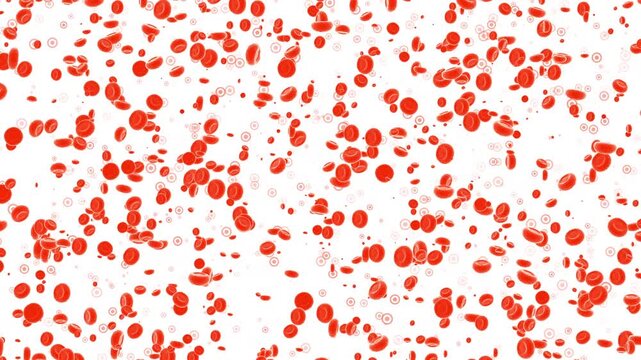 Red blood cells and platelets: medical dynamic video materials