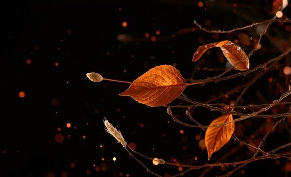 Golden leaves drift through water, trailing dark stems