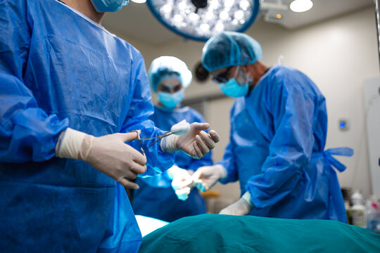 Doctor holding surgical instrument with gauze in hospital operating room. Medical team performing procedure in surgical scrubs under bright overhead lights during successful operation.