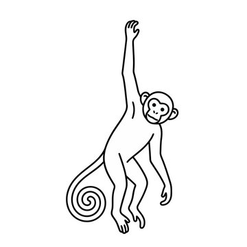 Line art monkey hanging
