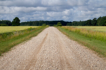 Fototapeta premium Rural Dirt Road Under Cloudy Summer Sky.
