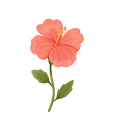 Pink Watercolor Hibiscus Flower © Union