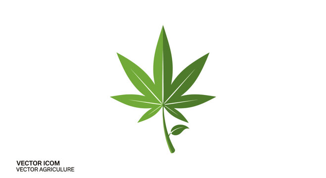 Minimalist green cannabis leaf icon isolated on a clean white background.