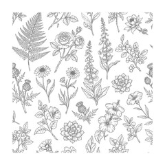 Fototapeta premium Vintage botanical seamless pattern with wildflowers and ferns on white background