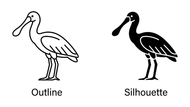 Bird Outline and Silhouette: Two clear depictions of a bird, one as a detailed outline and the other as a solid silhouette, showcasing the distinct shape of a spoonbill with its unique beak.