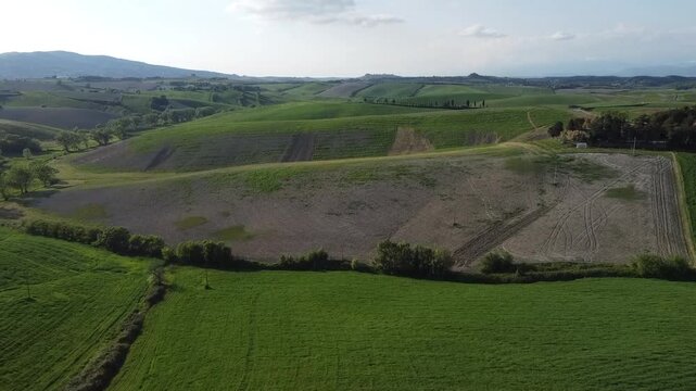 Verdi campi di campagna in primavera