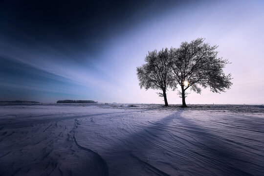 Twin Trees in Frozen Winter Field with Sunbeam Reflection and Dramatic Sky