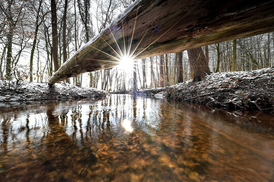 Winter Forest Stream with Golden Sunburst Under Fallen Log