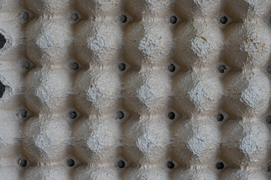 Empty Cardboard Egg Tray Texture and Pattern
