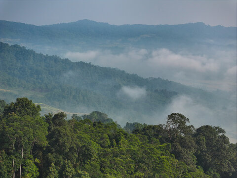 Aerial view of Gunung Luhur surrounded by lush green forests and rolling hills covered in morning mist in Cibeber, Banten, Indonesia.